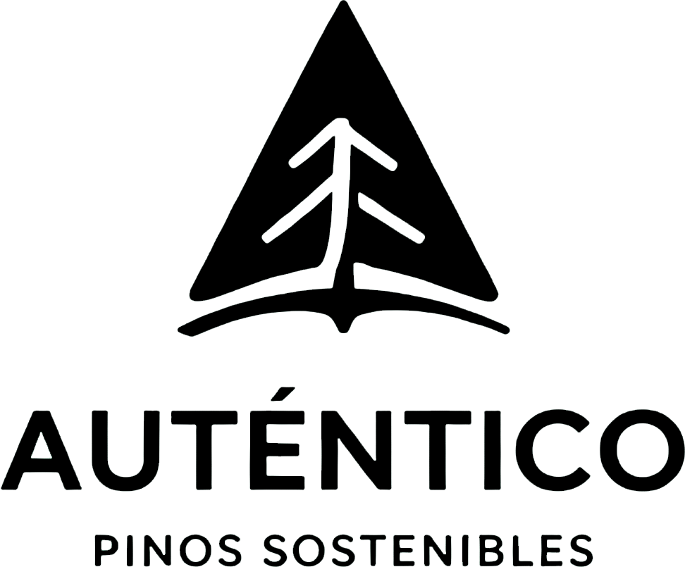 Auténtico – Pinos sostenibles